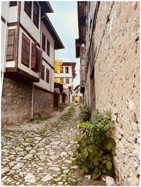 Captivating narrow street with traditional Ottoman