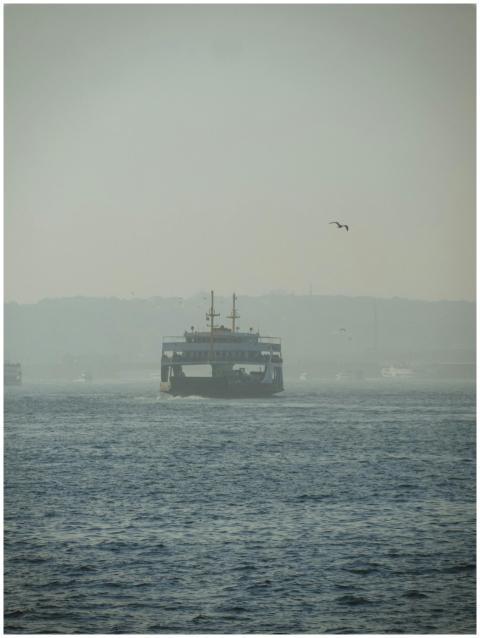 A ferry traverses misty waters with seagulls in th