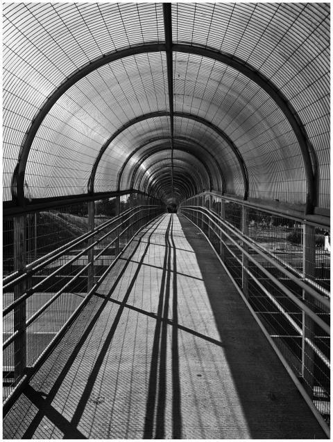 Monochrome image of a curved pedestrian bridge in