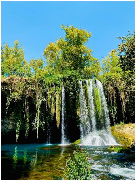 Vibrant waterfall surrounded by greenery under a c