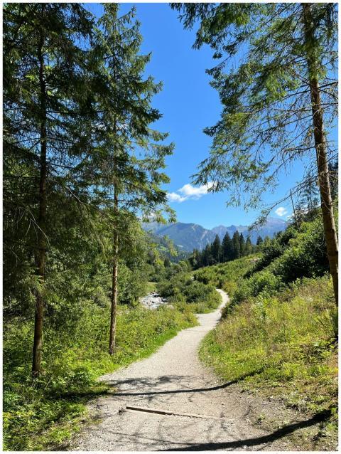 A serene trail surrounded by lush greenery and mou