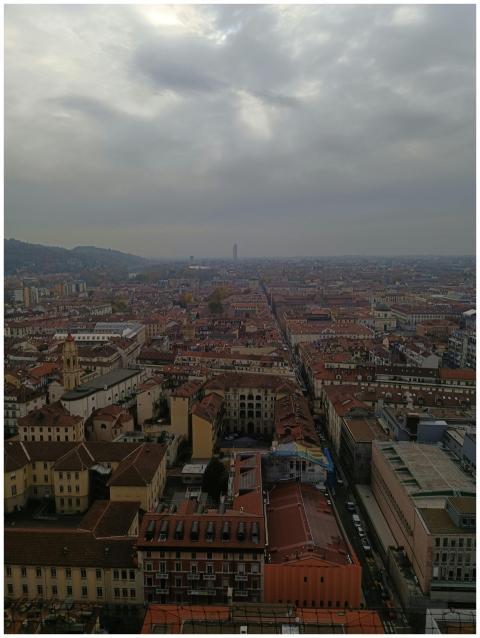 Aerial Turin Architecture Under
