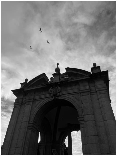 Black and white photo of an ornate archway with bi