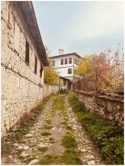 Cobblestone path leading to traditional houses in