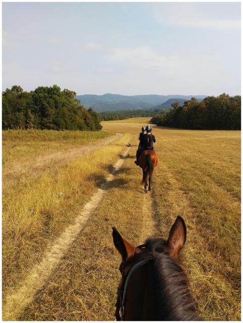 Horseback riding adventure through Elena's scenic
