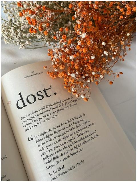 Open book with text and decorative dried flowers o