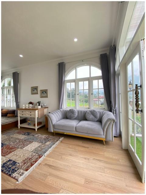 Elegant Sunlit Living Room