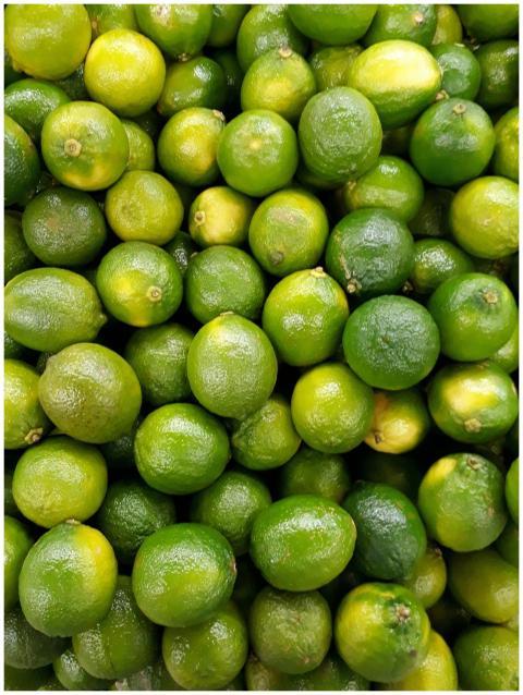 A vibrant collection of fresh green limes showcasi