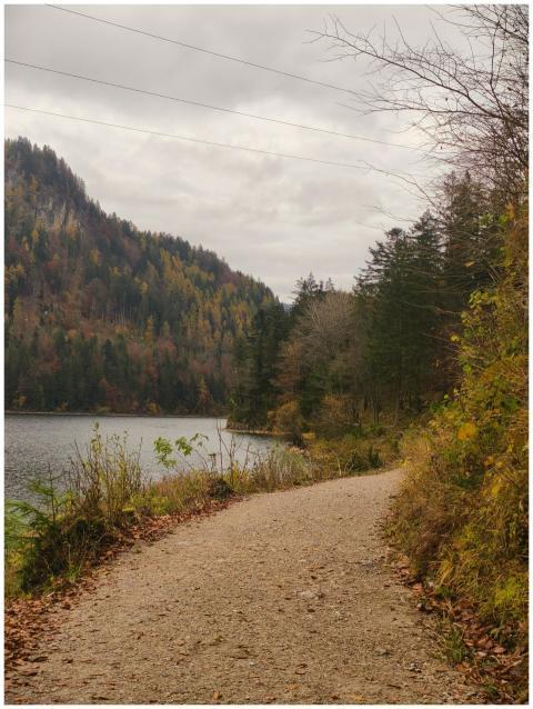 Scenic Autumn Trail Serene