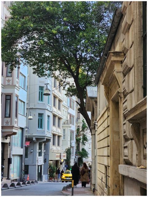 A picturesque street in Istanbul featuring histori