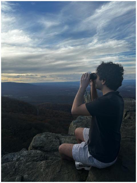 Man Observing Scenic Landscape