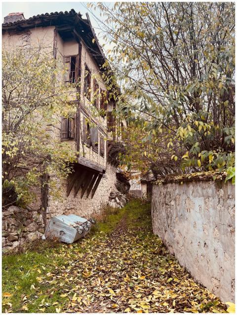 A decaying old house surrounded by autumn leaves i