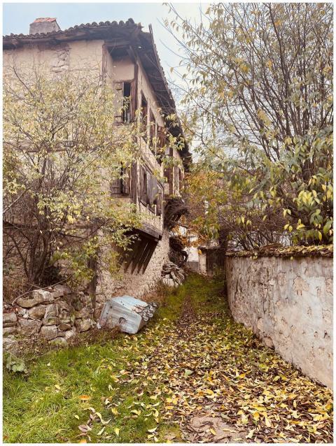 Charming Rustic Rural Pathway