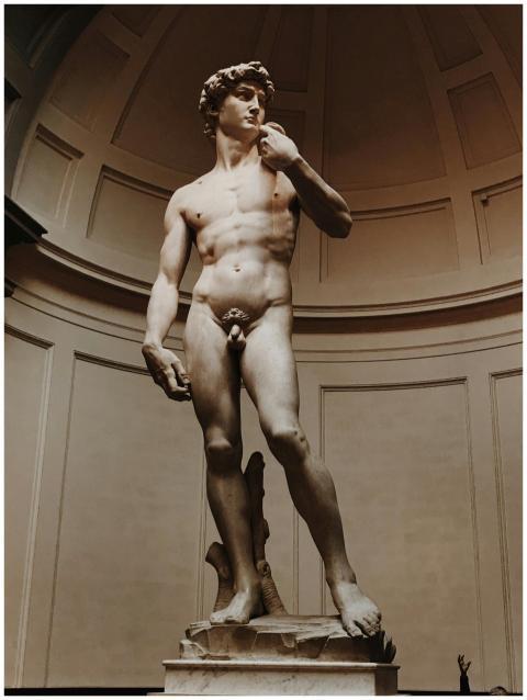 Famous Statue of David in Florence, Italy, showcas