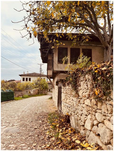 Charming stone house on a cobblestone road surroun