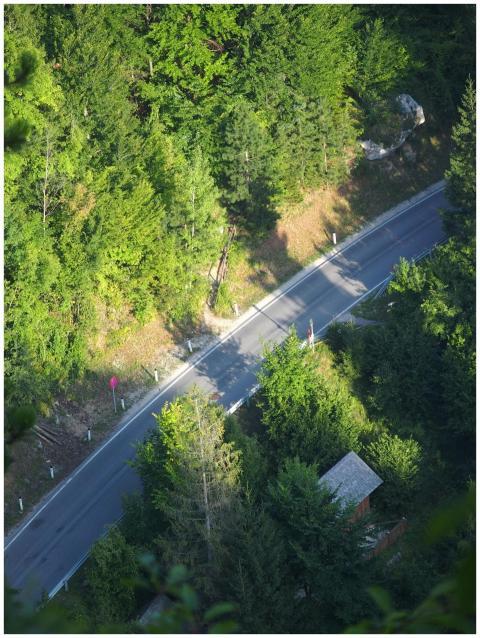 Aerial shot of a winding forest road surrounded by