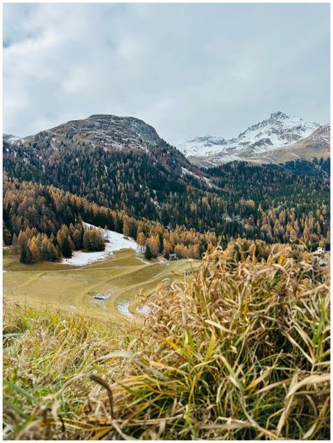 Scenic Alpine Mountain Landscape