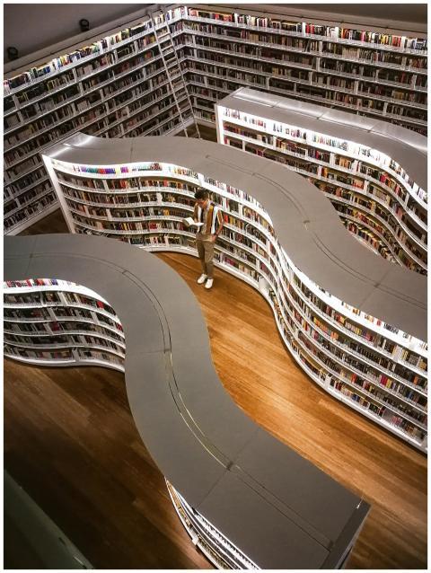 A modern library interior featuring unique curved