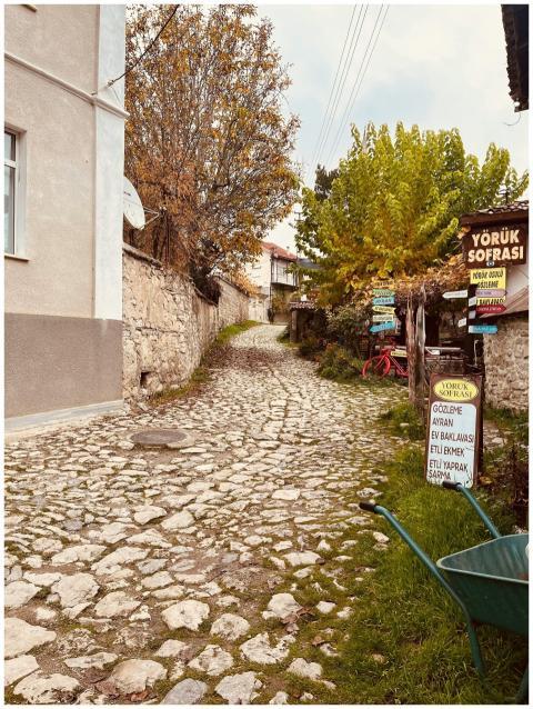 Explore a picturesque cobblestone street lined wit