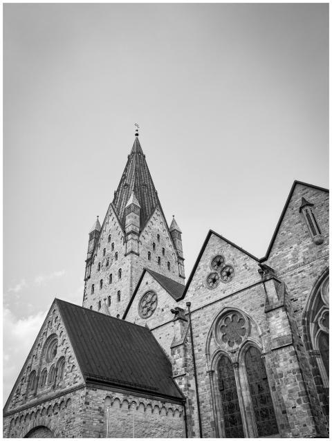 Black and white photo showcasing Gothic architectu
