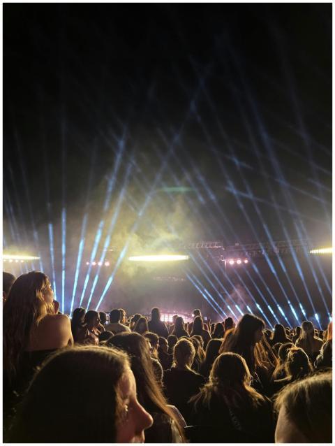 Vibrant Night Concert Crowd