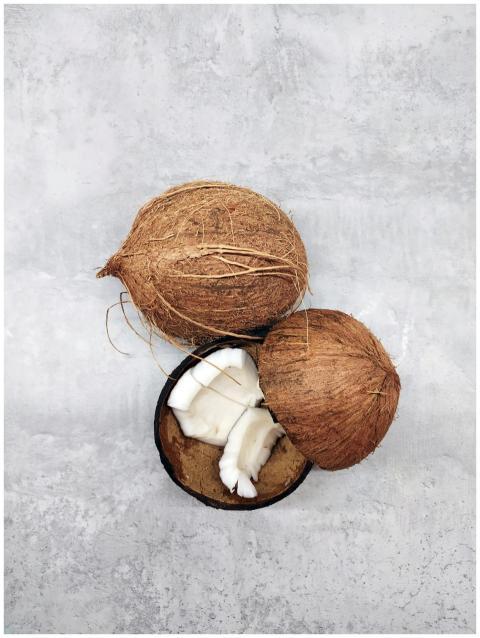 Fresh whole and sliced coconuts on a textured gray