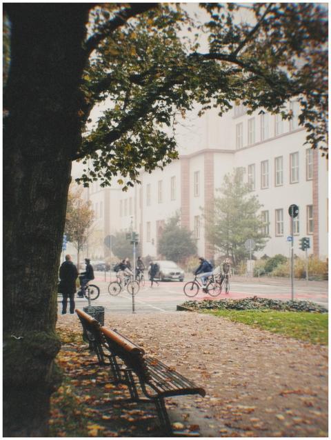 Cyclists biking through a foggy park in autumn, su