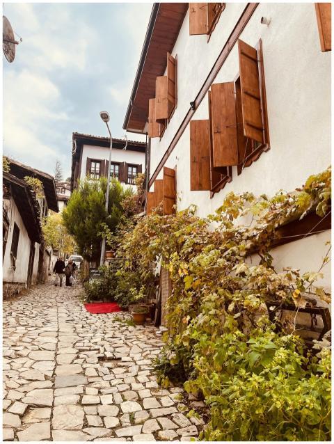 Charming Cobblestone Street Historic