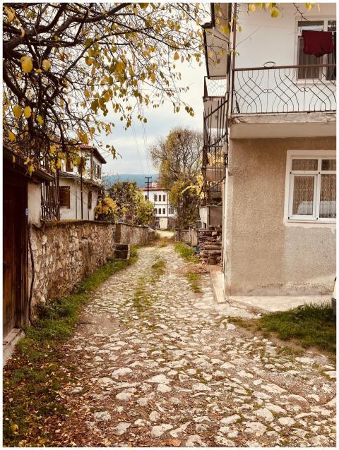 Rustic cobblestone street in a charming village wi