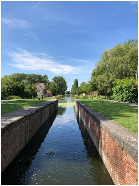 Tranquil Canal Lush Greenery