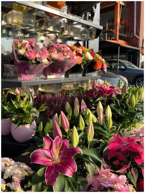 Vibrant Flower Display Istanbul