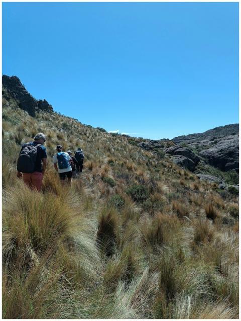Group of hikers trekking through rocky grasslands