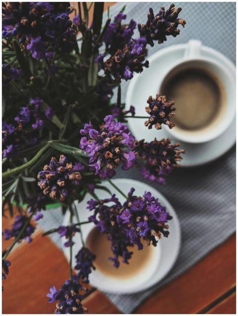 A top-down view of lavender flowers next to coffee