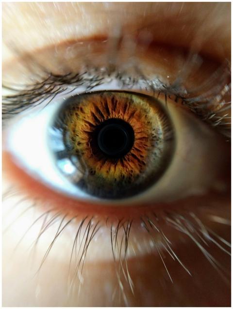 Captivating macro shot of a human eye showcasing i