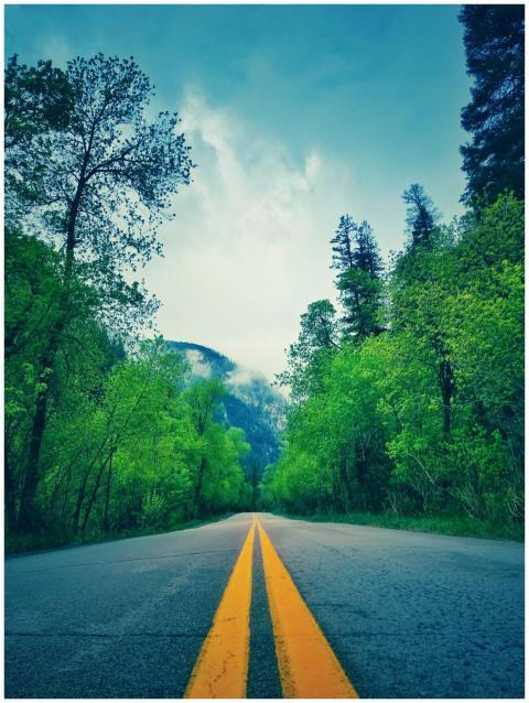 A serene road flanked by lush green trees and moun