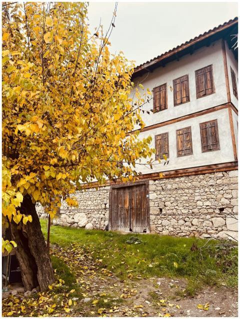 Historic house with vibrant autumn tree, perfect f