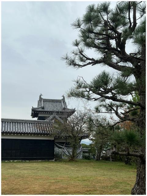 Scenic view of a traditional Japanese castle surro