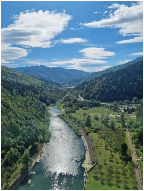 Scenic Aerial Verdant Valley