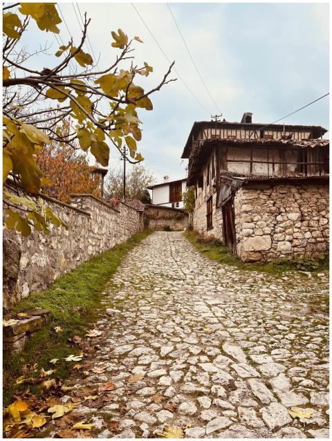 A scenic cobblestone pathway lined with traditiona