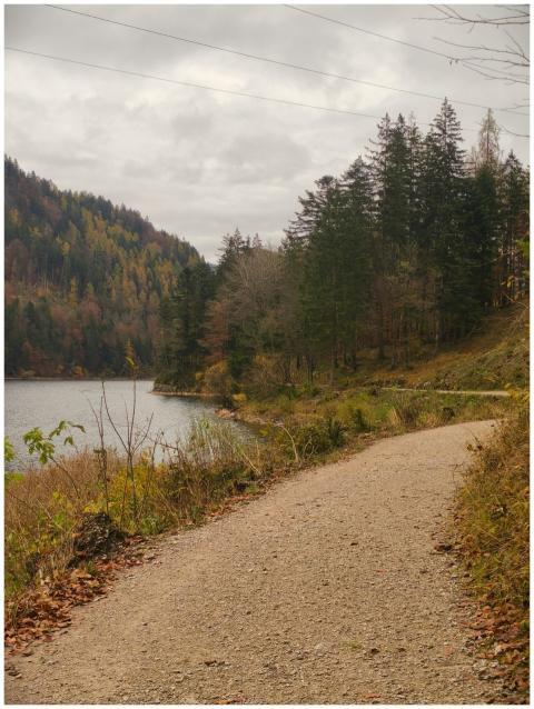 Tranquil Lakeside Path Autumn