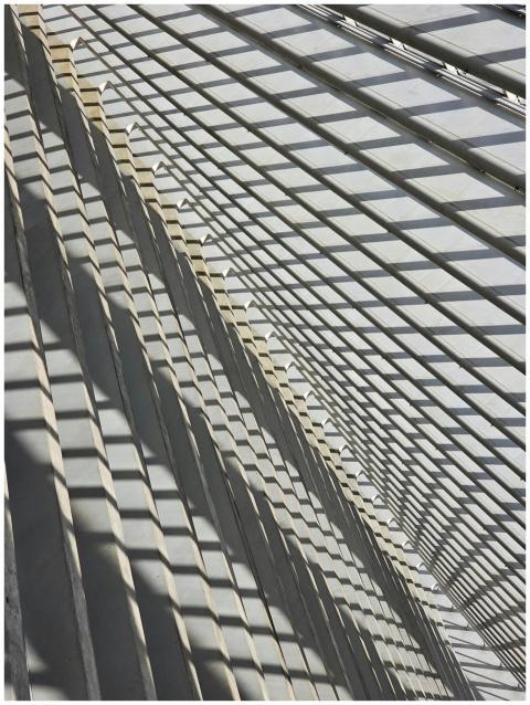Architectural Abstract Liege Guillemins