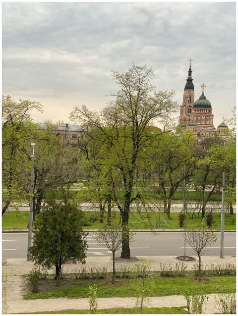Cathedral Amidst Lush Greenery