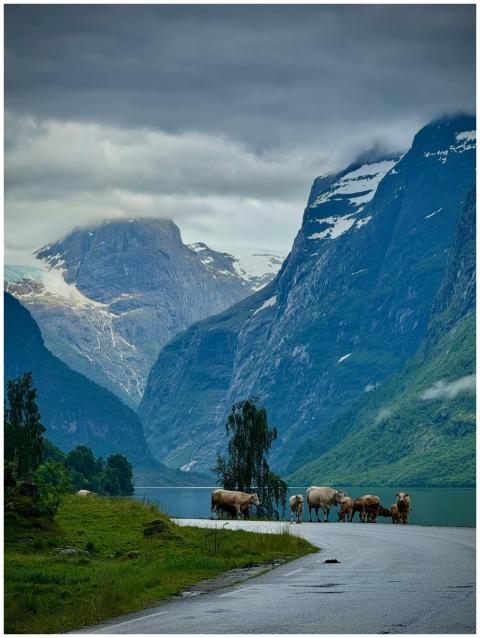Free stock photo of 4k nature, norway