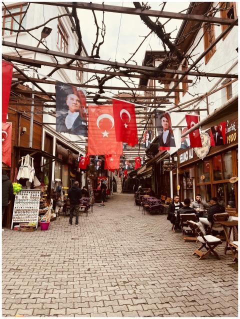 Vibrant Turkish street adorned with flags and outd