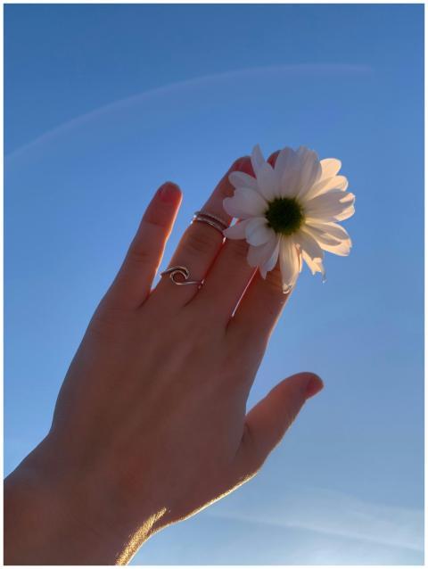 A hand adorned with rings holds a white daisy agai