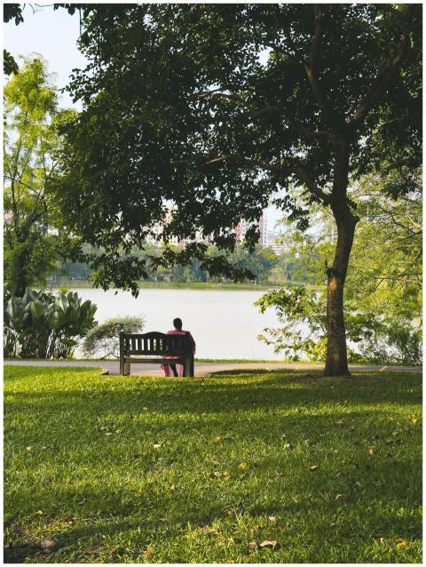Serene Lake Person Bench