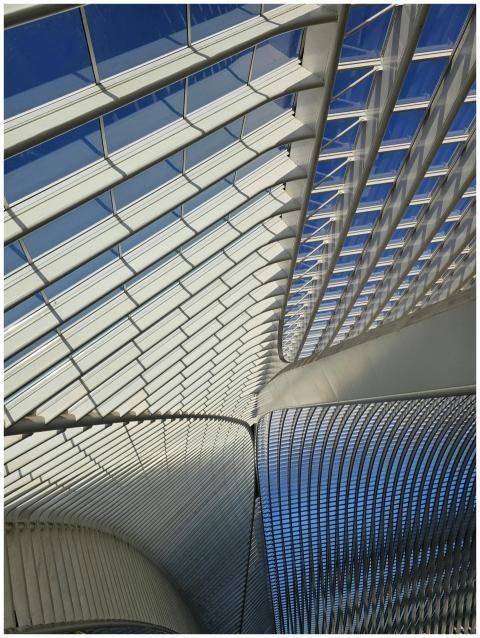 Abstract view of Guillemins Station's steel and gl
