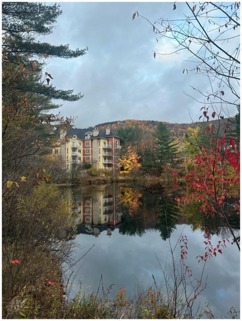 Scenic Autumn Lakeside Reflections