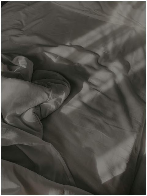 A minimalist photo capturing the artistic play of