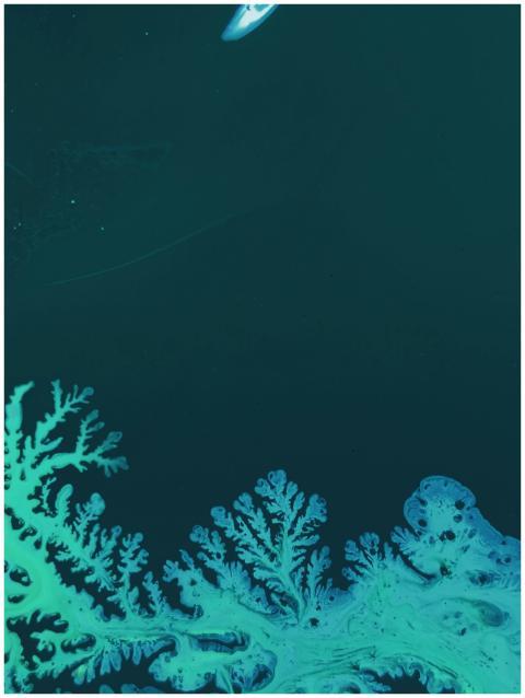 Captivating fluid art featuring organic patterns i